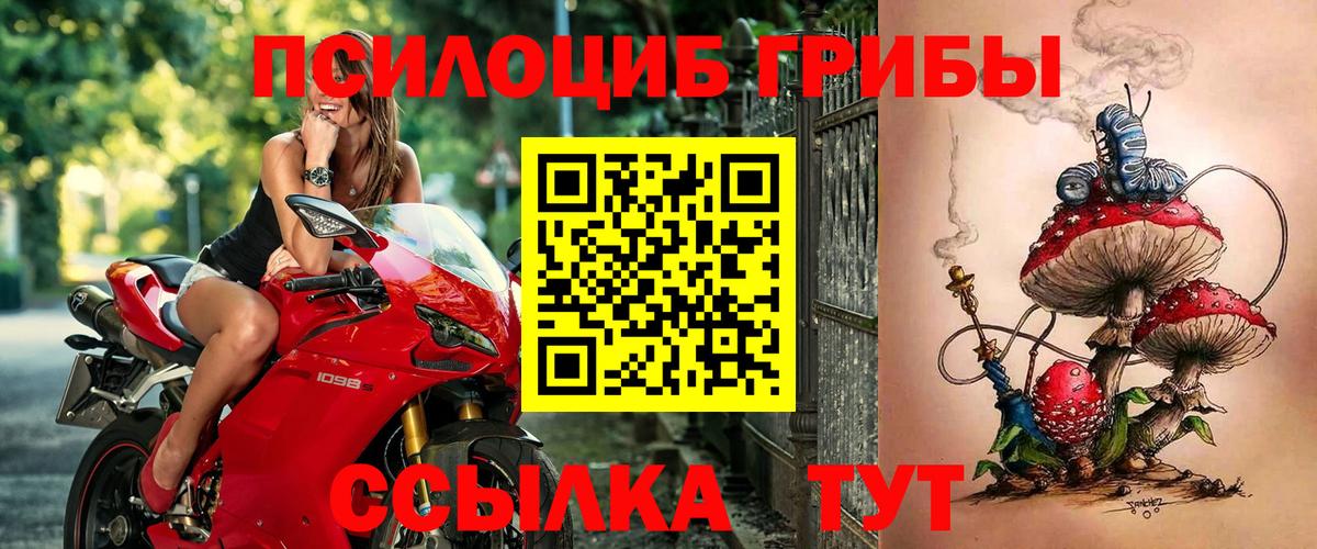 Галлюциногенные грибы мухоморы Саров