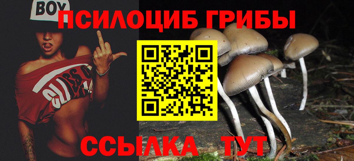 Галлюциногенные грибы Psilocybine cubensis  Вход с VPN  Галлюциногенные грибы прущие грибы  Саров 